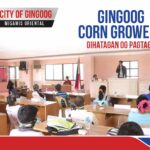 Gingoog Corn Growers, Gihatagan og Pagtagad