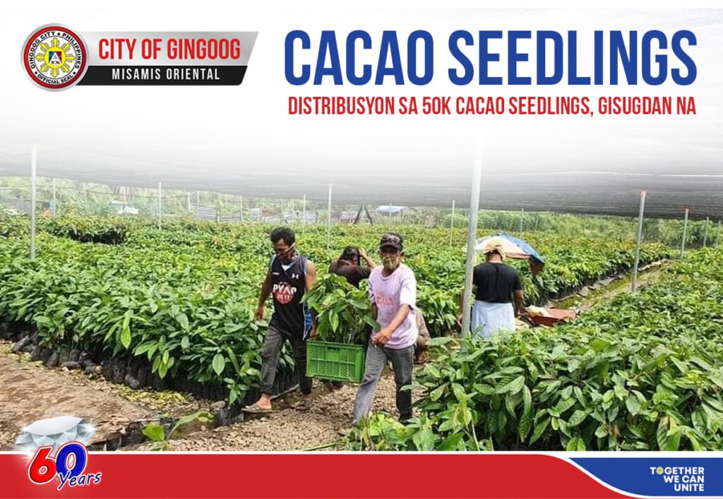 Distribusyon sa 50K Cacao Seedlings, Gisugdan na